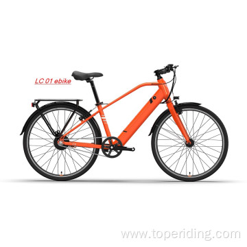 Customized Electric Commuter Bike